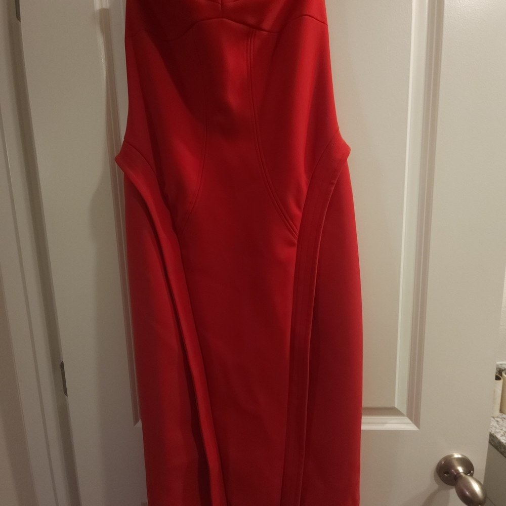 Zara Vibrant Red Strapless Dress